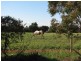 Lot 61 Kepa Road, Murray Bridge SA 5253
