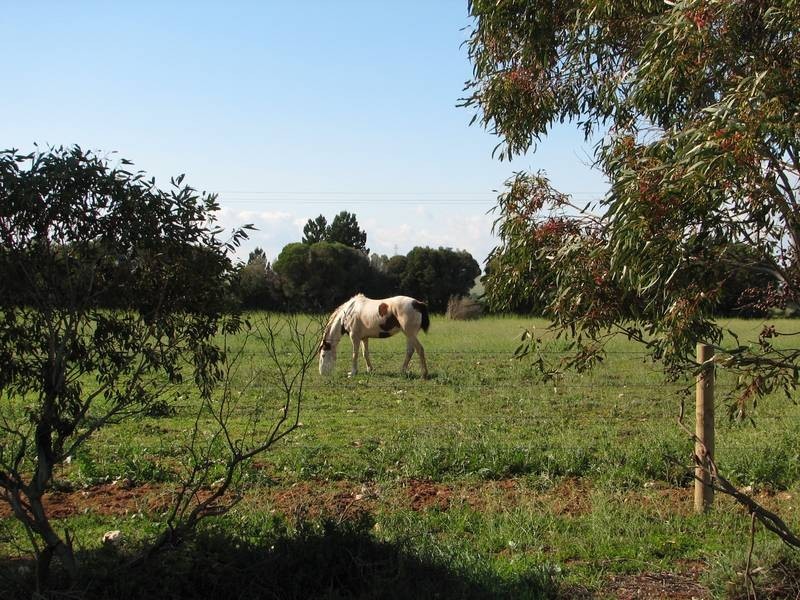 Lot 61 Kepa Road, Murray Bridge SA 5253