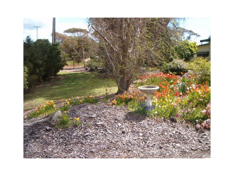 Sect 1119 Rathjen Road, Mypolonga SA 5254