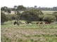 Lot 1 Bullers Road, Murray Bridge SA 5253