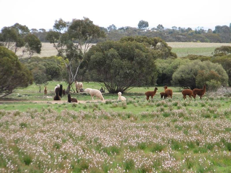 Lot 1 Bullers Road, Murray Bridge SA 5253
