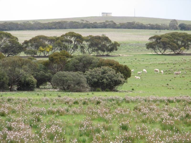 Lot 1 Bullers Road, Murray Bridge SA 5253