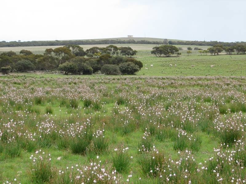 Lot 1 Bullers Road, Murray Bridge SA 5253