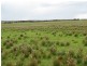 Lot 1 Bullers Road, Murray Bridge SA 5253