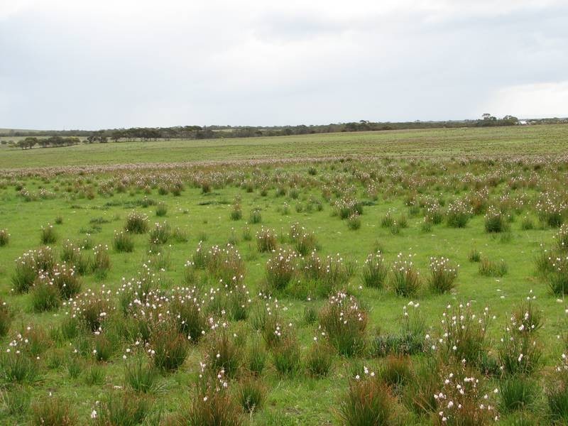 Lot 1 Bullers Road, Murray Bridge SA 5253