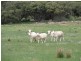 Lot 1 Bullers Road, Murray Bridge SA 5253