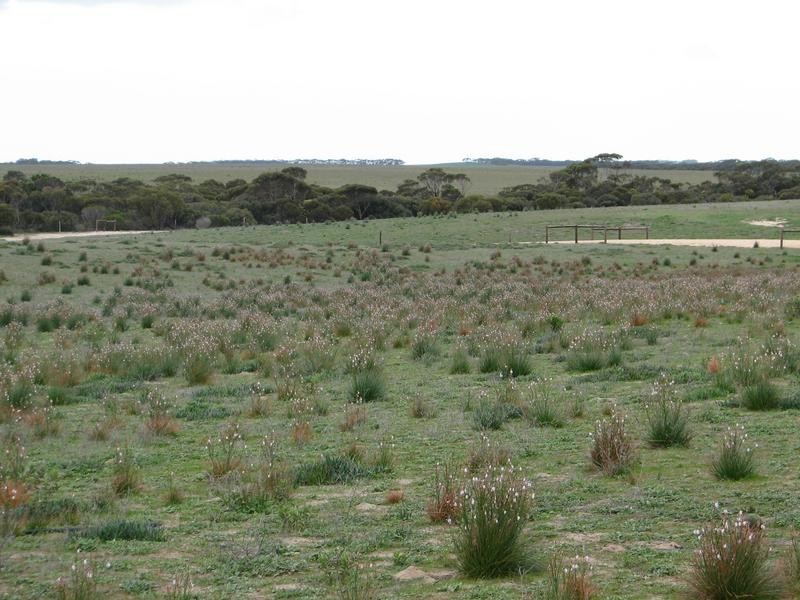 Lot 1 Bullers Road, Murray Bridge SA 5253
