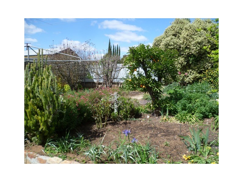 2 Graetz Street, Murray Bridge SA 5253