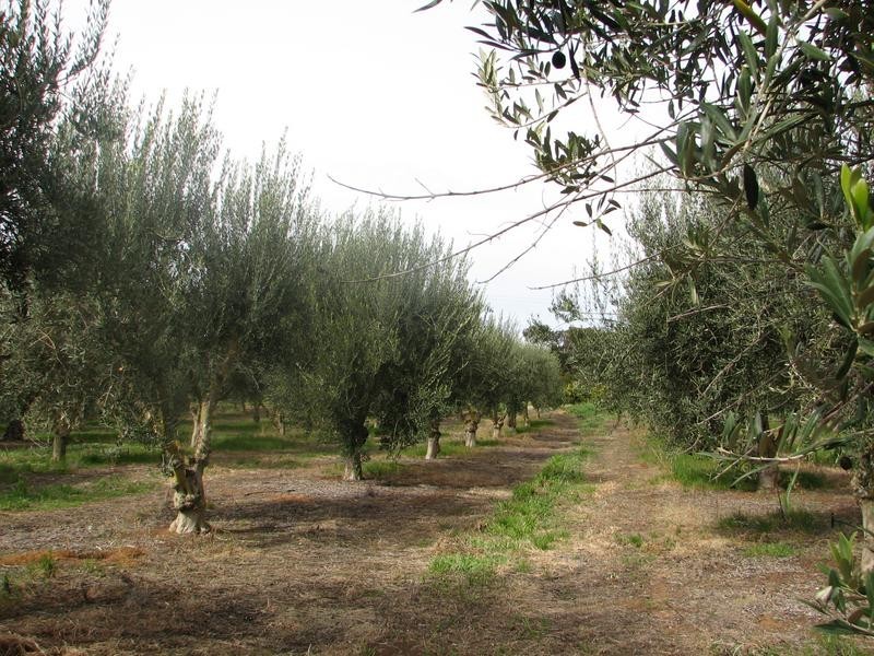 Rio Vista’ Carawatha Drive, Mypolonga SA 5254