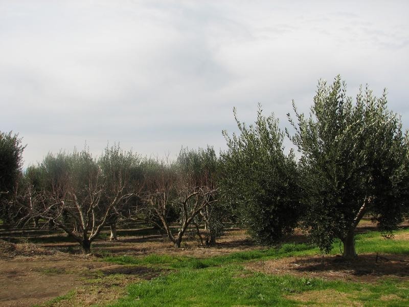 Rio Vista’ Carawatha Drive, Mypolonga SA 5254