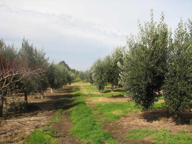 Rio Vista’ Carawatha Drive, Mypolonga SA 5254