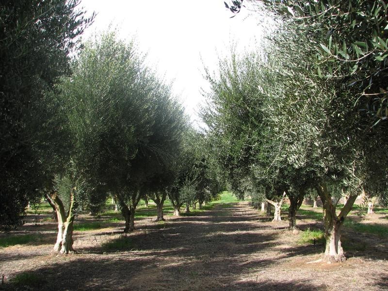 Rio Vista’ Carawatha Drive, Mypolonga SA 5254