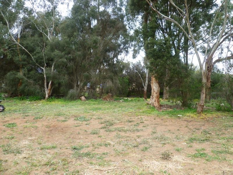 22 Hagen Street, Callington via, Murray Bridge SA 5253
