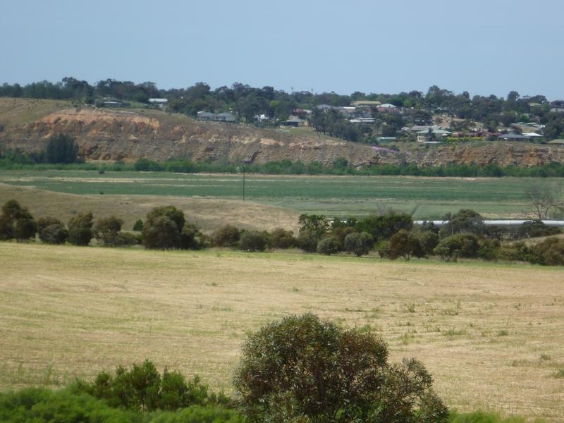 169 Kuchel Road, Murray Bridge SA 5253