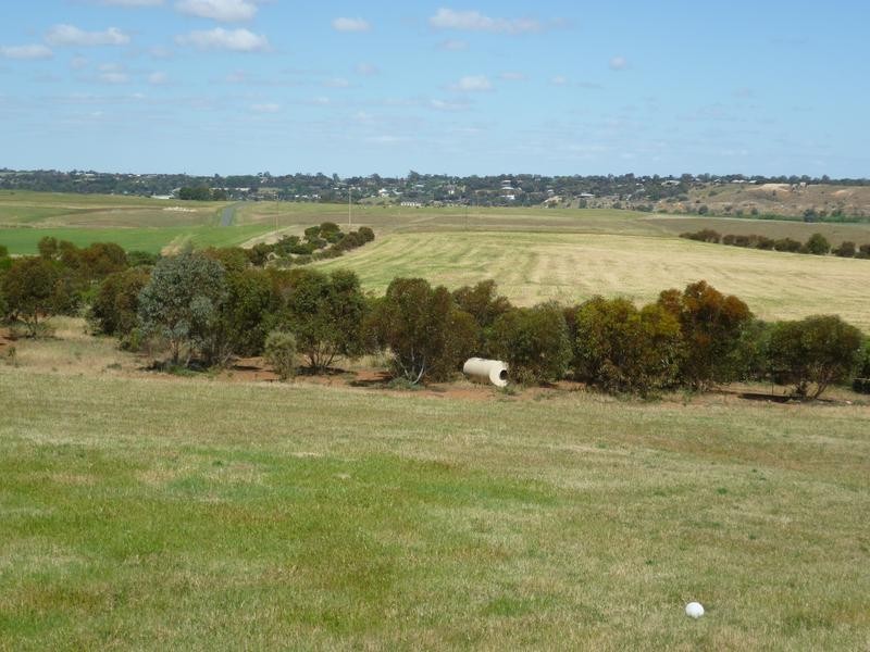 169 Kuchel Road, Murray Bridge SA 5253