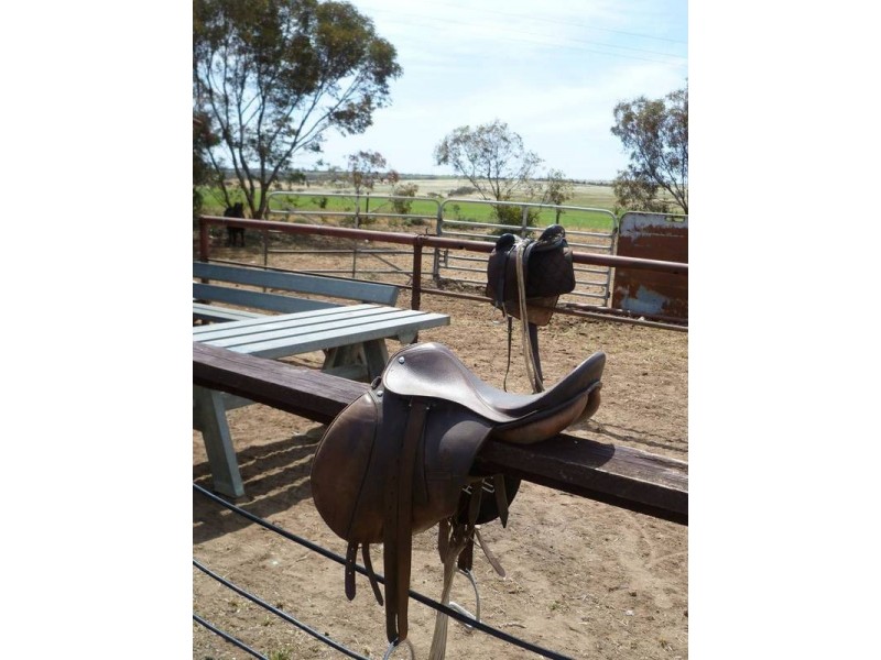 169 Kuchel Road, Murray Bridge SA 5253