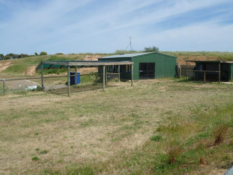 169 Kuchel Road, Murray Bridge SA 5253