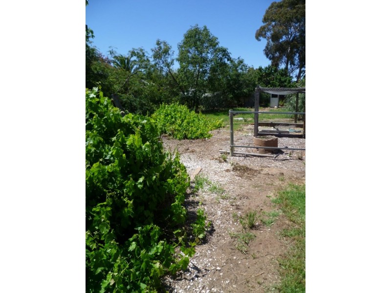 18 Edward Street, Murray Bridge SA 5253