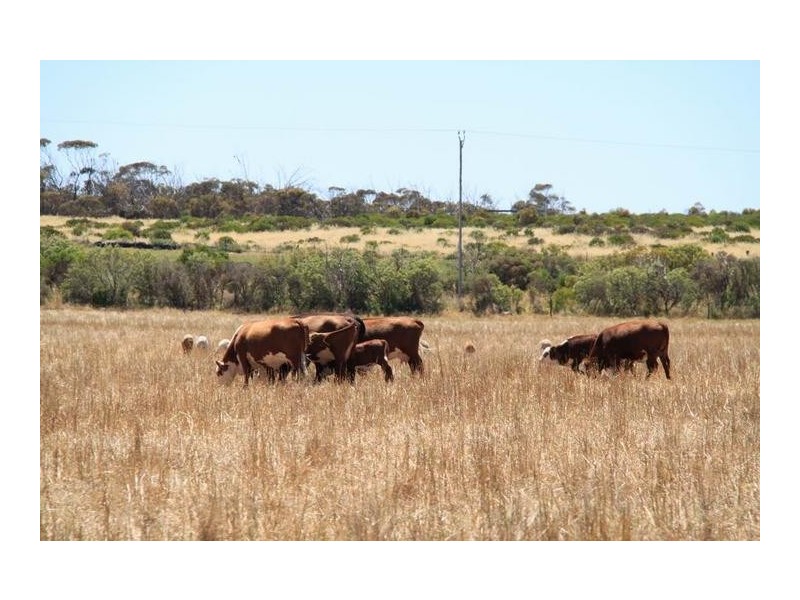 Sect 1156 Bakehouse Road, Mypolonga SA 5254