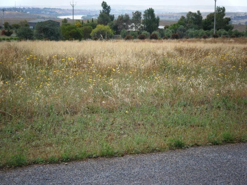 Lot 97 Coonawarra Road, Sunnyside via, Murray Bridge SA 5253