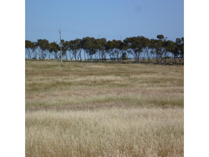 Lot 232 Queen Louisa Drive, Murray Bridge SA 5253