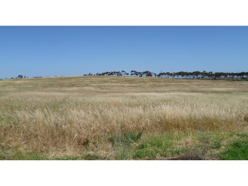 Lot 232 Queen Louisa Drive, Murray Bridge SA 5253