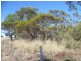 Lot 305 Mallee Highway Peake,, Tailem Bend SA 5259