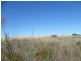 Lot 305 Mallee Highway Peake,, Tailem Bend SA 5259