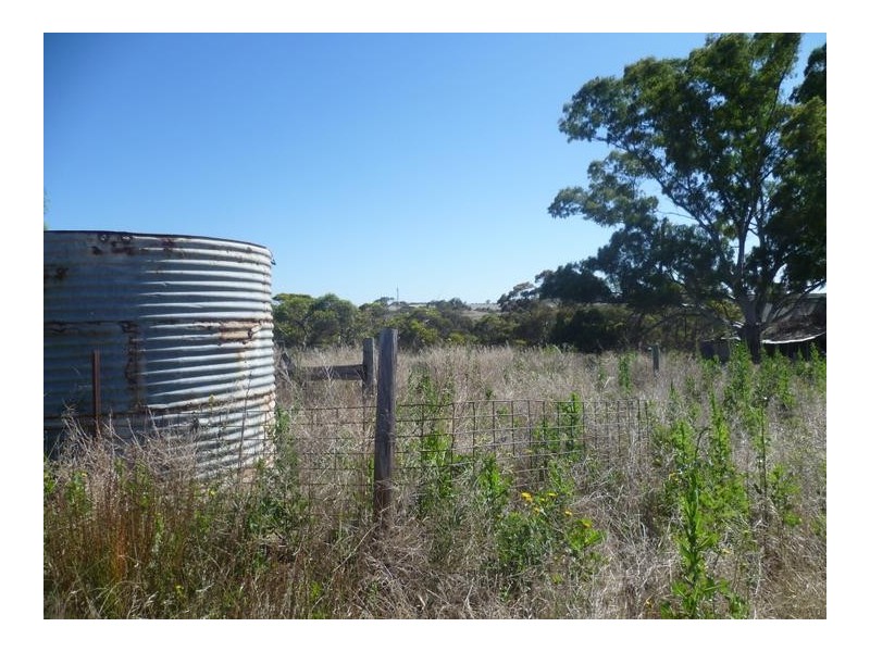 Lot 305 Mallee Highway Peake,, Tailem Bend SA 5259