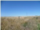 Lot 305 Mallee Highway Peake,, Tailem Bend SA 5259