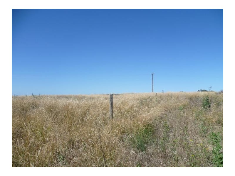 Lot 305 Mallee Highway Peake,, Tailem Bend SA 5259