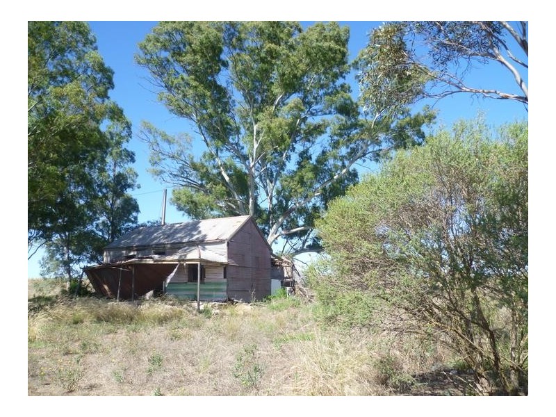 Lot 305 Mallee Highway Peake,, Tailem Bend SA 5259