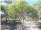 Lot 305 Mallee Highway Peake,, Tailem Bend SA 5259