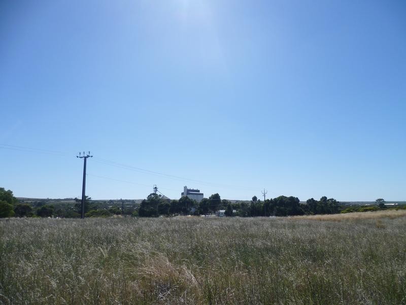 Lot 305 Mallee Highway Peake,, Tailem Bend SA 5259
