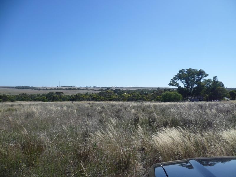 Lot 305 Mallee Highway Peake,, Tailem Bend SA 5259