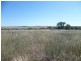 Lot 305 Mallee Highway, Peake SA 5301