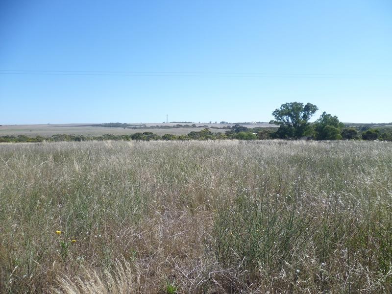 Lot 305 Mallee Highway, Peake SA 5301