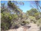 Lot 305 Mallee Highway, Peake SA 5301