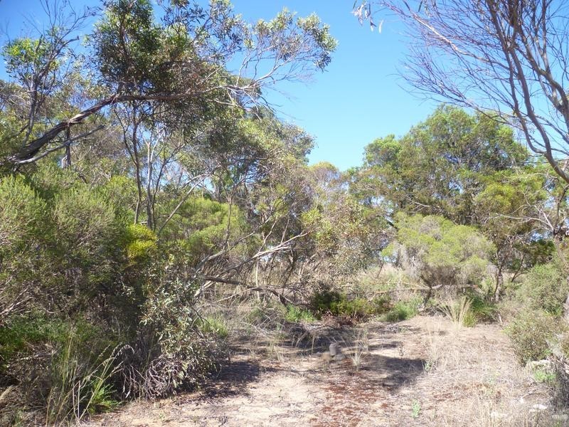 Lot 305 Mallee Highway, Peake SA 5301