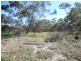 Lot 305 Mallee Highway, Peake SA 5301