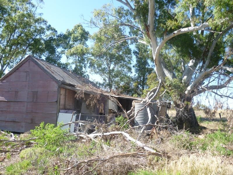 Lot 305 Mallee Highway, Peake SA 5301