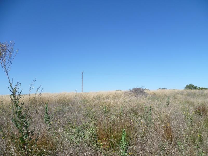 Lot 305 Mallee Highway, Peake SA 5301