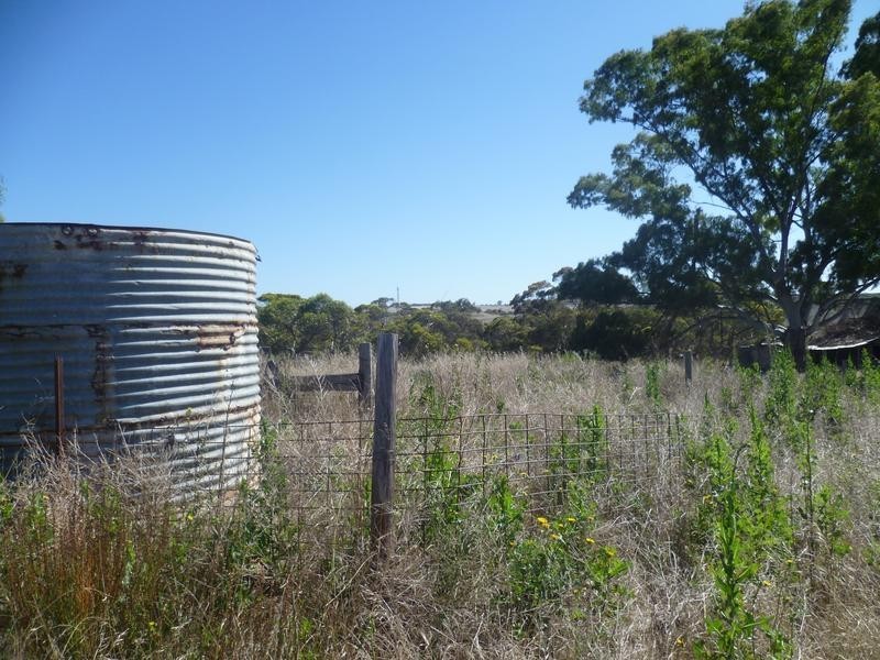 Lot 305 Mallee Highway, Peake SA 5301