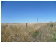 Lot 305 Mallee Highway, Peake SA 5301
