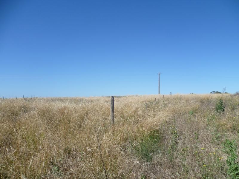 Lot 305 Mallee Highway, Peake SA 5301