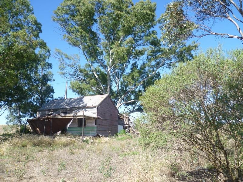 Lot 305 Mallee Highway, Peake SA 5301