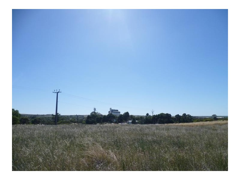 Lot 305 Mallee Highway, Peake SA 5301
