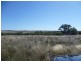 Lot 305 Mallee Highway, Peake SA 5301