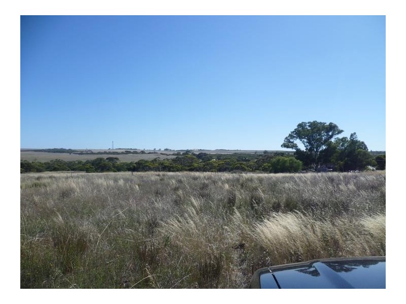 Lot 305 Mallee Highway, Peake SA 5301