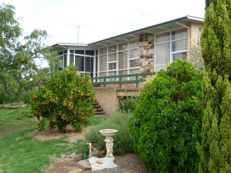 341 Adelaide Road, Murray Bridge SA 5253